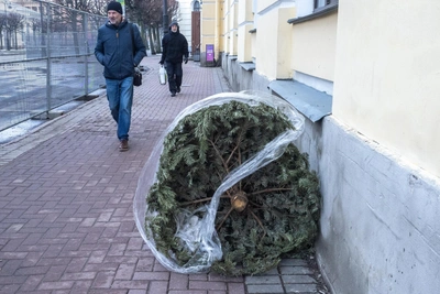 Куда сдать новогоднюю елку на переработку в Югре