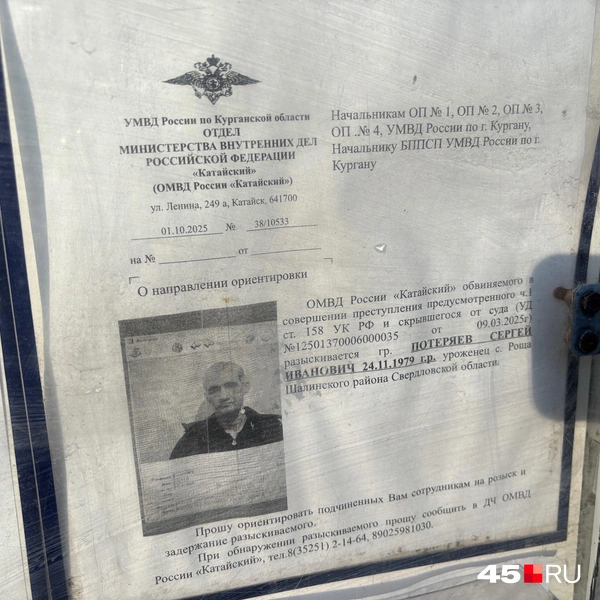 Источник: Кирилл Митин