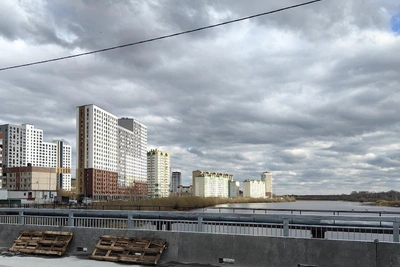 Задержан подполковник полиции: дайджест новостей 24 апреля