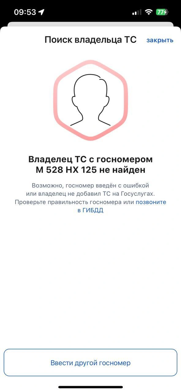 Проверили восемь автомобилей, данные о которых есть на «Госуслугах» | Источник: Алиса Князева