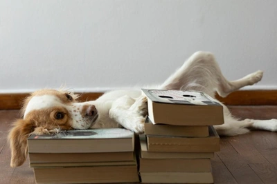 Книжные новинки 2026 года: от Лимонова до викторианских мифов