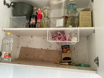 Осторожно! Большое количество тараканов | Источник: Игорь Н. / «Яндекс Карты»