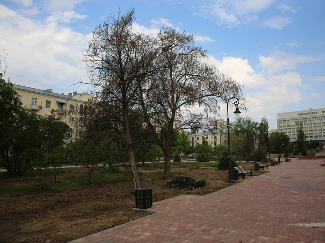 То тут, то там можно заметить скромные куски ткани, скрывающие под собой мусор | Источник: Константин Завриков / V1.RU