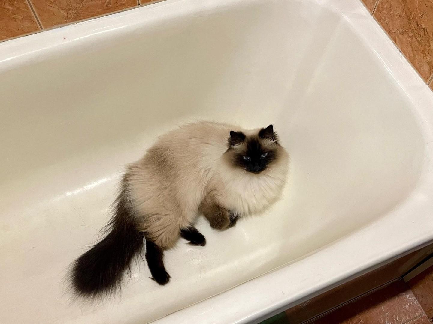 В пяти районах Перми будут отключать холодную воду в конце марта и начале апреля — адреса