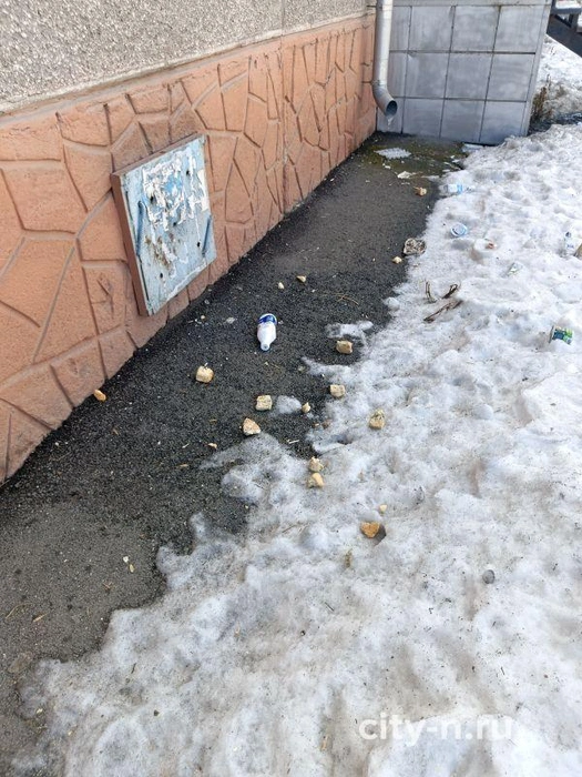 Весна выявила несанкционированную свалку в Новокузнецке | Источник: city-n.ru