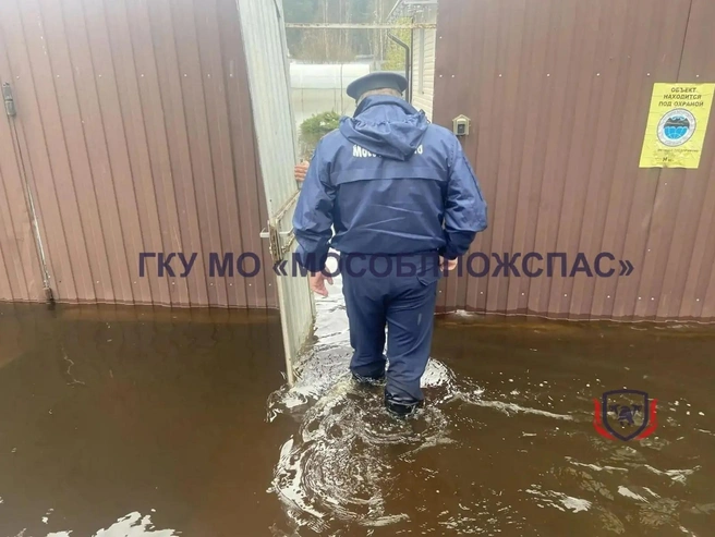 Воды в поселке по колено | Источник: ГКУ МО «Мособлпожспас» / T.me