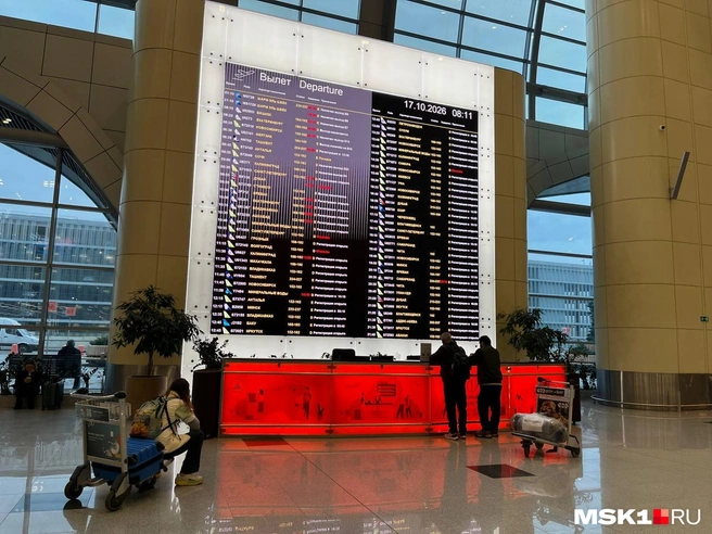 Онлайн-табло в аэропорту Домодедово | Источник: Читательница MSk1.RU