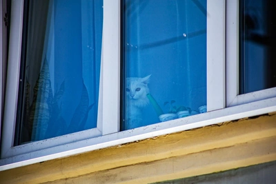 Первый день весны в Иркутске: синоптики обещают морозы