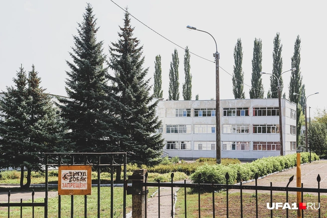 На территорию школы пробраться чужаку не получится | Источник: Тимур Шарипкулов