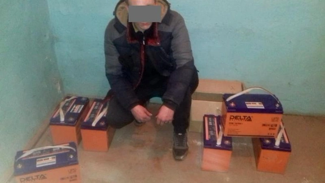 Ранее в поле зрения полиции воришки не попадали | Источник: 24мвд.рф