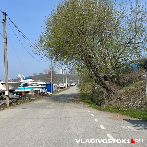 Источник: Елена Буйвол / VLADIVOSTOK1.RU