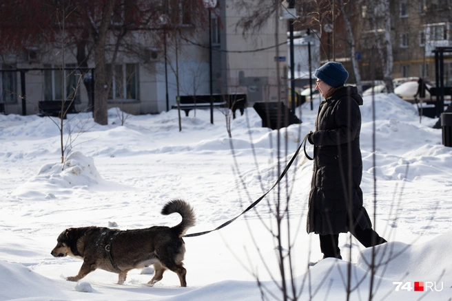 В 2025 году на пенсию по старости никто не вышел | Источник: Екатерина Тычинина / 74.RU