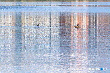 Источник: Олег Фёдоров / CHITA.RU
