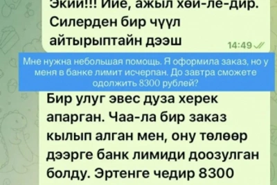 Жительницу Тувы обманули через взломанный аккаунт