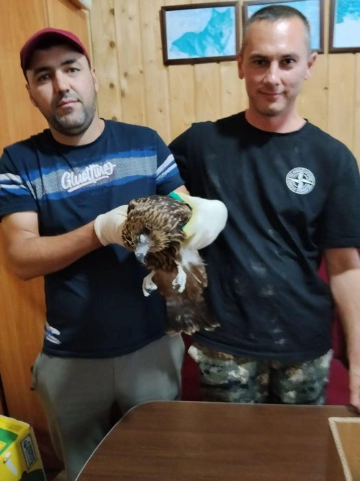 Источник: ojm.tatarstan.ru