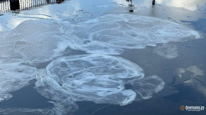 Источник: Валентин Егоршин/«Фонтанка.ру»