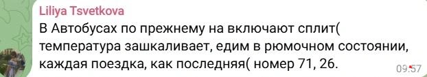 Источник: news161ru / T.me