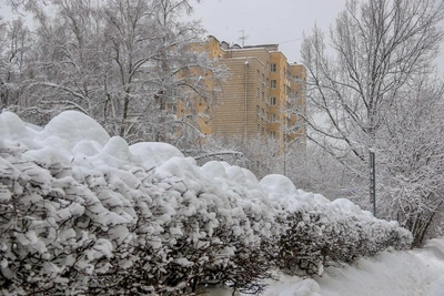 Снег и морозы: прогноз для Нижнего Новгорода на выходные