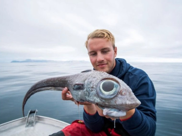 Рыбак вытащил странную рыбу с огромными глазами