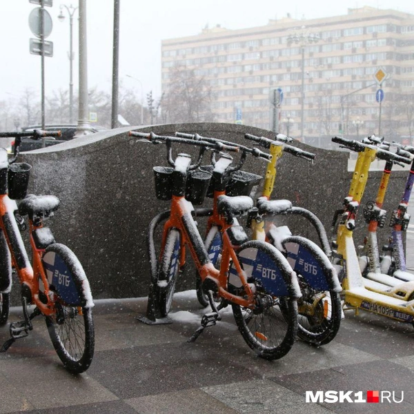 Источник: Татьяна Спиридонова / MSK1.RU