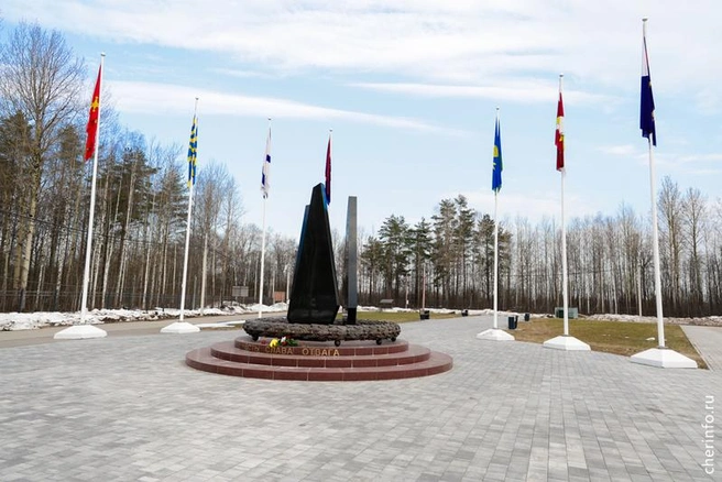 Источник: st.cherinfo.ru