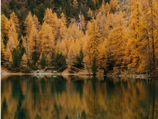 Проклятая тайга: пять дней назад рыбак исчез в 10 километрах от места пропажи Усольцевых