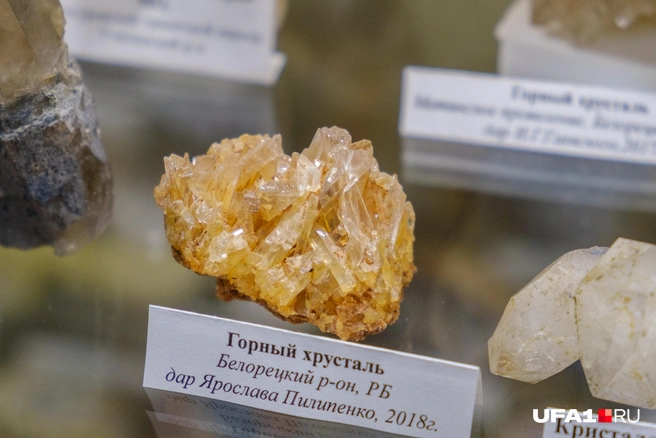 Эстетично выглядит | Источник: Булат Салихов / UFA1.RU