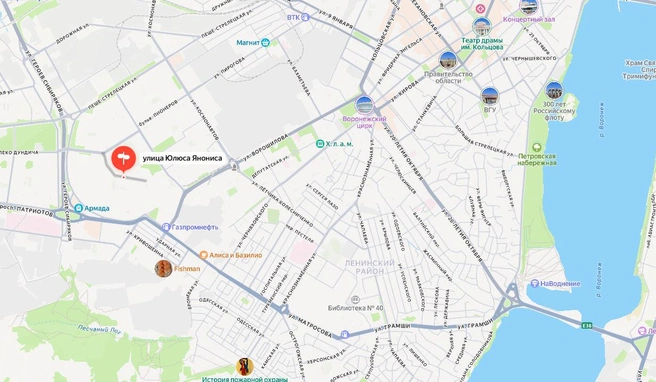 Улица Юлюса Янониса на карте Воронежа | Источник: Яндекс Карты / yandex.ru/maps