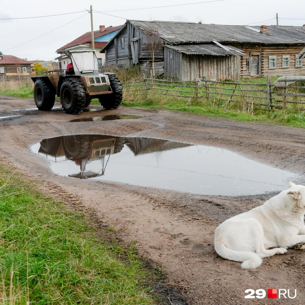 Источник: Иван Митюшёв / 29.RU