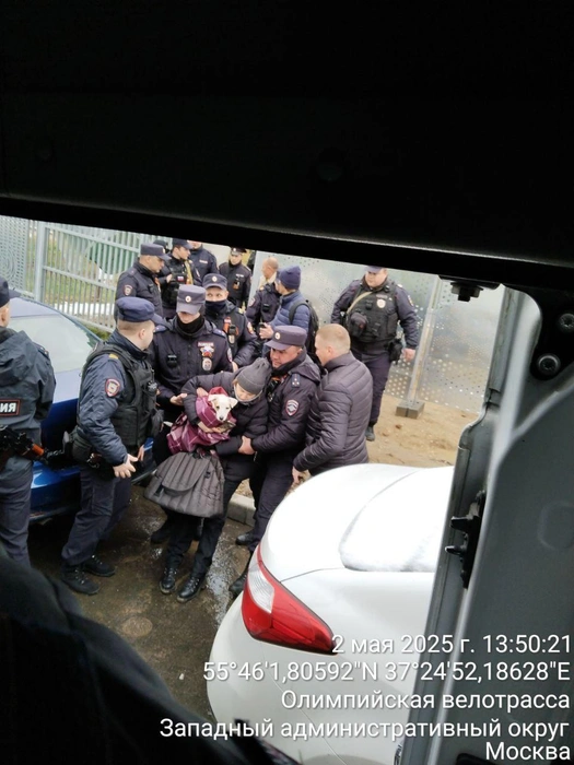 Среди задержанных оказалась и женщина с собакой | Источник: предоставлено активистами
