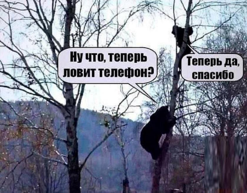 Вот так вот :-)) Здравствуйте, уважаемые, Приятного, времени, суток