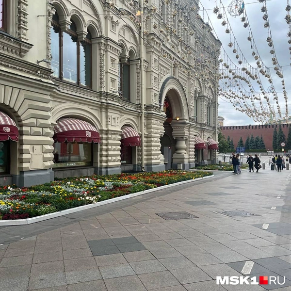 Источник: Валерия Милованова / MSK1.RU