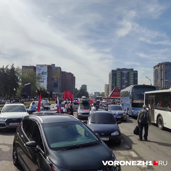 Источник: Андрей Пашинский / Voronezh1.ru