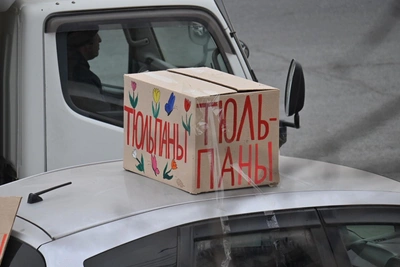 Сколько стоят тюльпаны к 8 Марта во Владивостоке