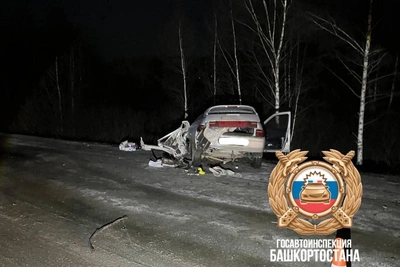 В аварии в Башкирии пострадала семья с пятью детьми