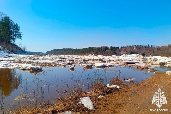 Рыбак погиб на реке Кондаша в Череповецком округе | Источник: st.cherinfo.ru