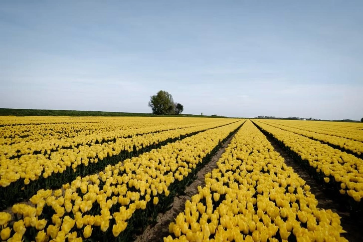 7 деталей фильма &laquo;Злая: Навсегда&raquo;, о которых вы точно не знали