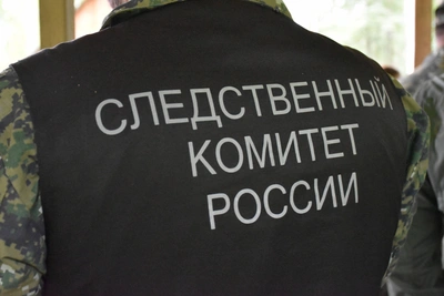 Жителя Пензы осудили за похищение, вымогательство и кражу