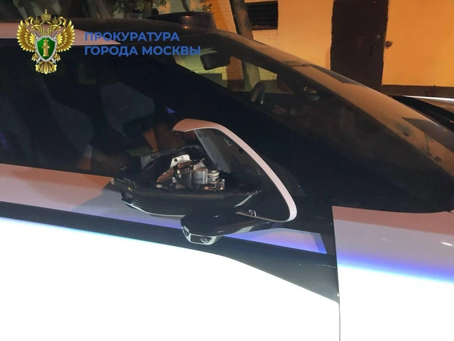 Источник: Официальный канал прокуратуры Москвы 