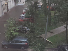 Упавшие деревья, утонувшие машины: повторится ли сильный ливень в Москве 19 июля?