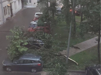 Упавшие деревья, утонувшие машины: повторится ли сильный ливень в Москве 19 июля?
