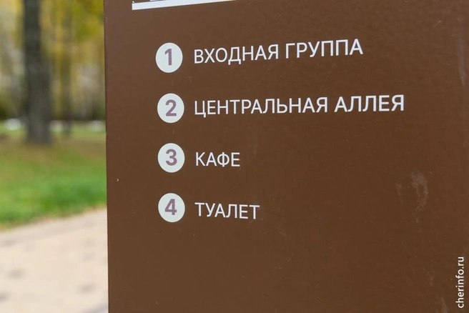 Источник: st.cherinfo.ru