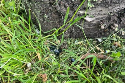 В Майкопе задержана подозреваемая в сбыте наркотиков