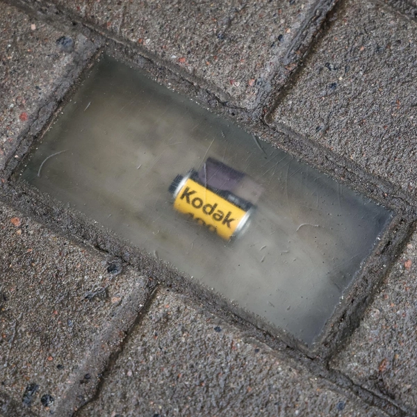 Источник: СПб ГБУ «Центральное УРДиБ»