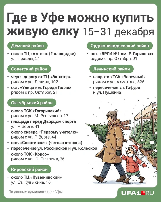 Адреса елочных базаров в Уфе | Источник: Полина Авдошина / Городские медиа