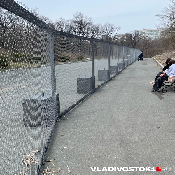 Источник: Елена Буйвол / VLADIVOSTOK1.RU