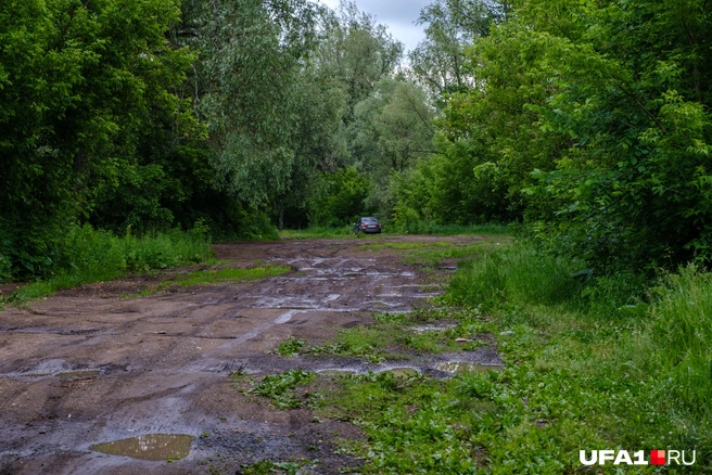 Дорога посреди озера | Источник: Булат Салихов / UFA1.RU