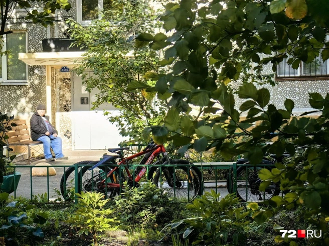 Район очень зеленый, много деревьев и кустарников  | Источник: Павел Красоткин / 72.RU 