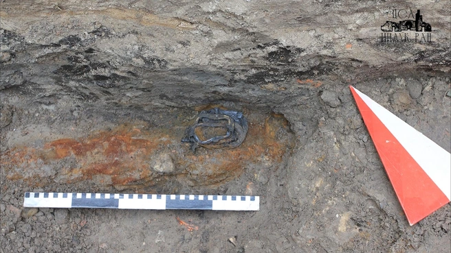 Фото предоставлено ЦСА ИИМК РАН | www.fontanka.ru