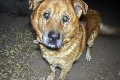 Суд в Чите вынес приговор по делу о «черной передержке»